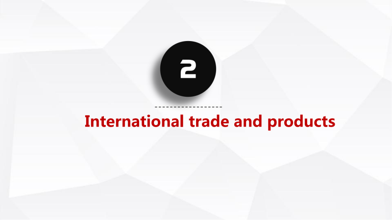 XINSHIDAI company profile_11.png