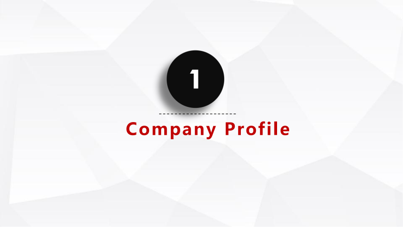 XINSHIDAI company profile_02.png